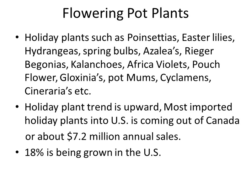 Flowering Pot Plants Holiday plants such as Poinsettias, Easter lilies, Hydrangeas, spring bulbs, Azalea’s,